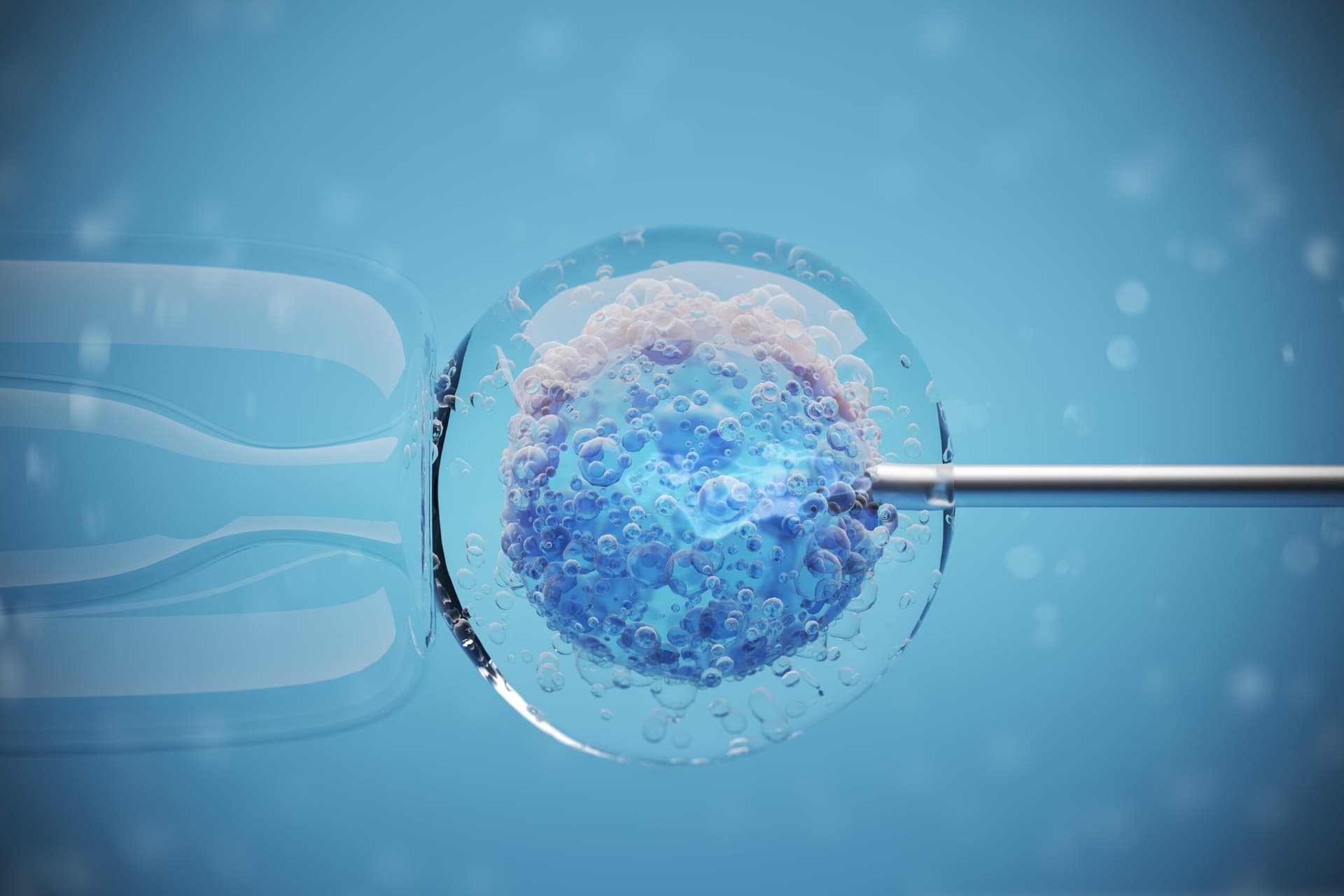 vitro fertilization human female cell microscopic view