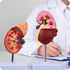 Renal Diagnosis